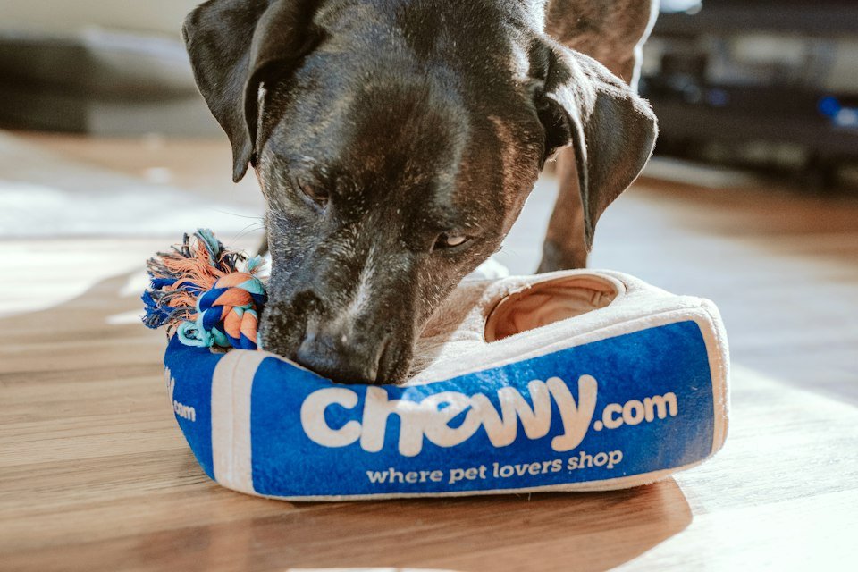 Criação de Site para Pet Shop
