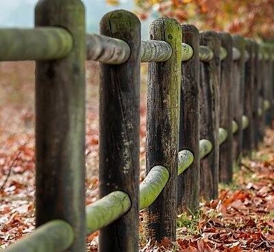 wp dummy content generator 2000.jpg