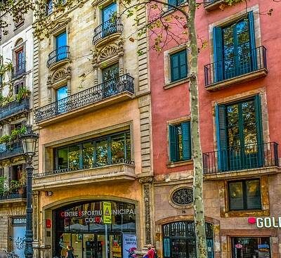 wp dummy content generator 2004.jpg