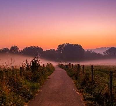 wp dummy content generator 2044.jpg